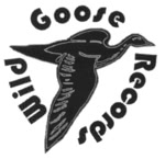 WildGoose Studios