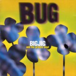Big Jig and the Groove Dept: Bug (Hypertension 295 158)