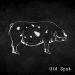 Old Spot: Old Spot (II) (Scribe SRCD25)