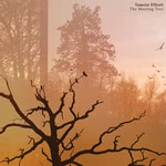 Tamsin Elliott: The Meeting Tree (Penny Fiddle PFR2511CD)