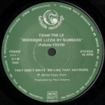 Woodbine Lizzie: They Don’t Write ’Em Like That Anymore (Fellside FES402)