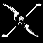 Stick in the Wheel: Bones (self-released) Stick in the Wheel: Bones (self-released)